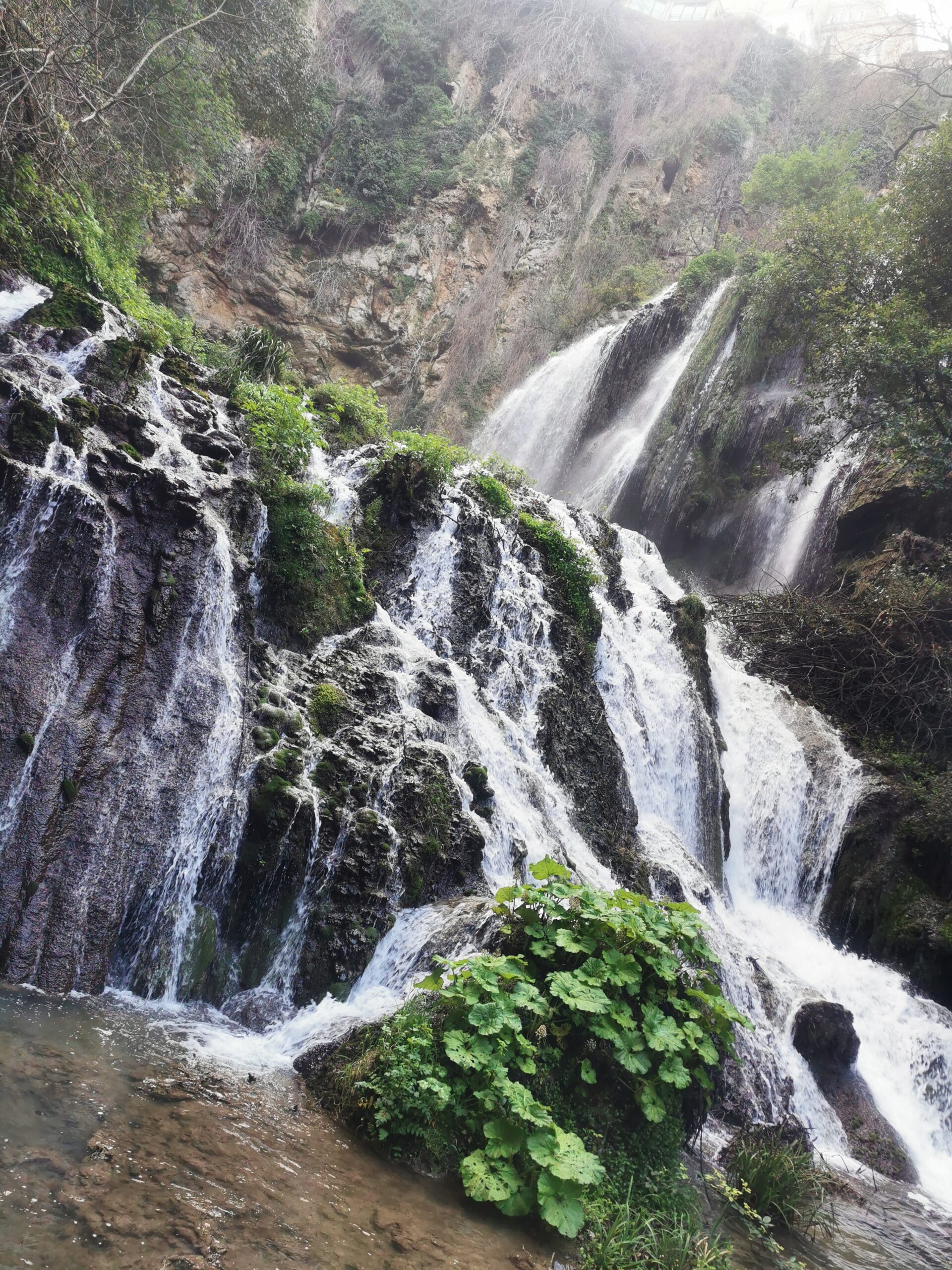 Waterfalls of Villa Gregoriana